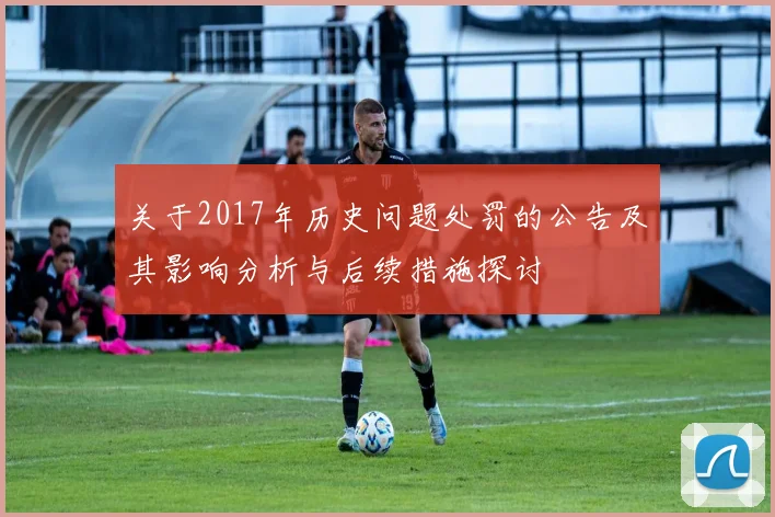 关于2017年历史问题处罚的公告及其影响分析与后续措施探讨
