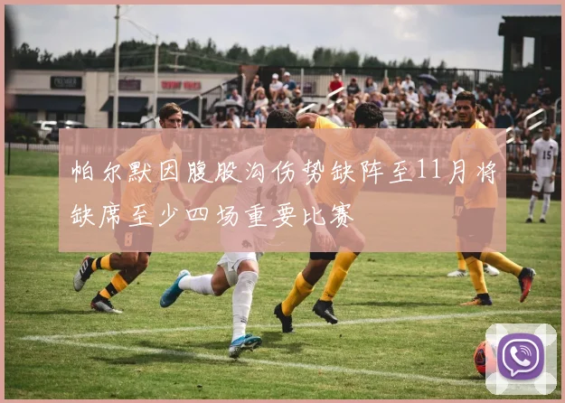 帕尔默因腹股沟伤势缺阵至11月将缺席至少四场重要比赛