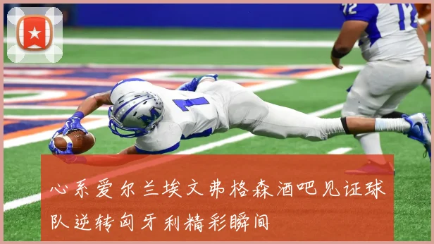心系爱尔兰埃文弗格森酒吧见证球队逆转匈牙利精彩瞬间