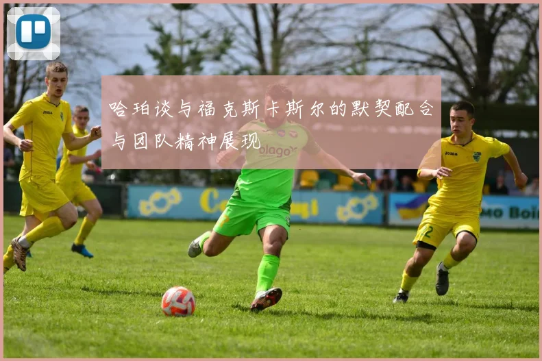 哈珀谈与福克斯卡斯尔的默契配合与团队精神展现