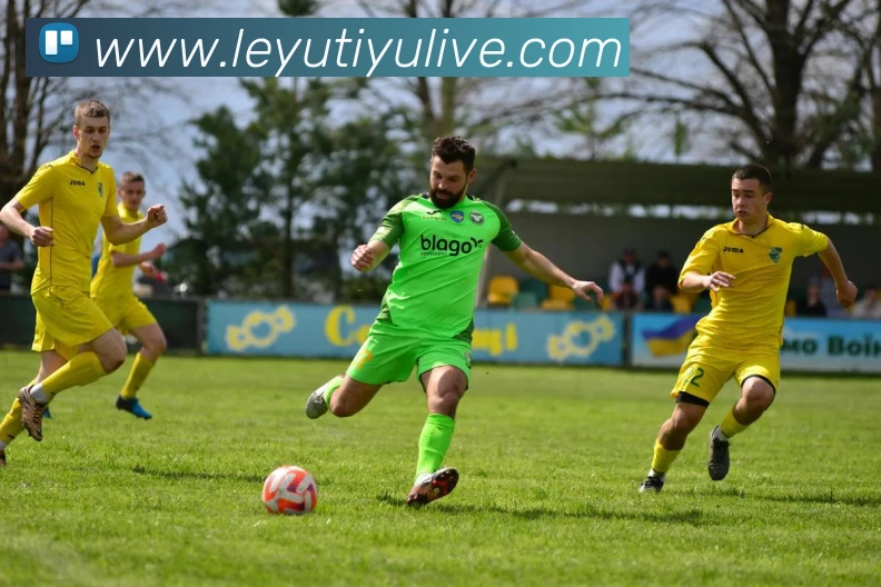 乐鱼体育平台生态图