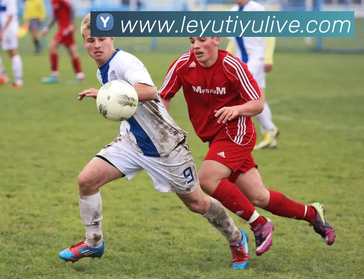 乐鱼体育APP 封面图